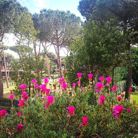 Casa Margherita Affittacamere B&B Follonica Ngoại thất bức ảnh